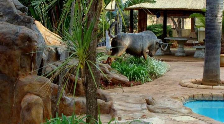 Kettle Guest Lodge Rustenburg