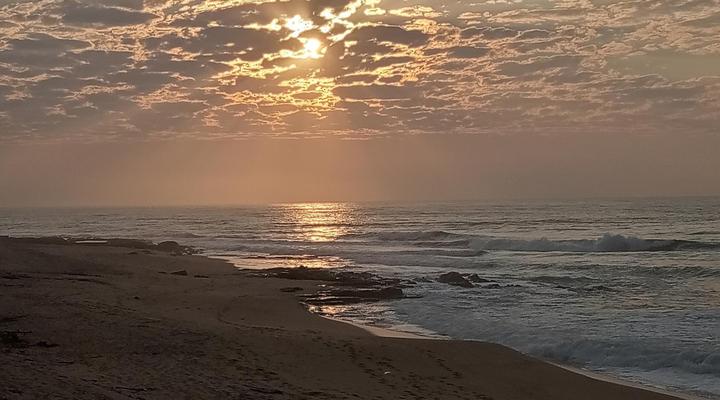 Tropical Beach Boutique Bed & Breakfast