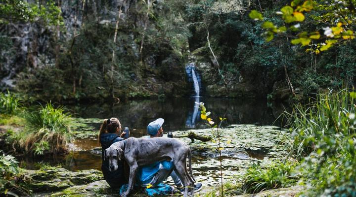 Moon Shine on Whiskey Creek