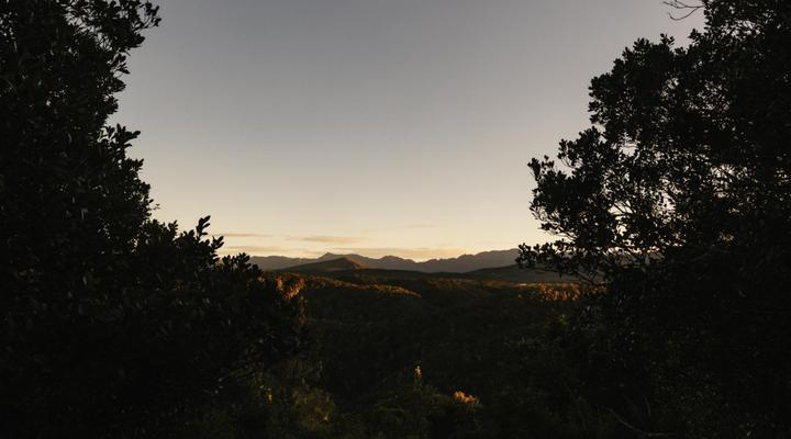 Moon Shine on Whiskey Creek