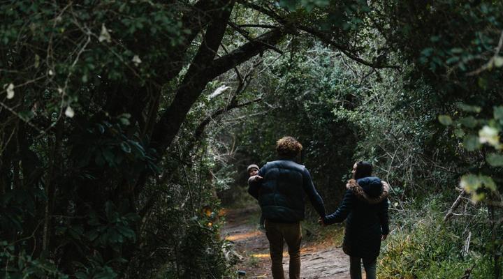 Moon Shine on Whiskey Creek