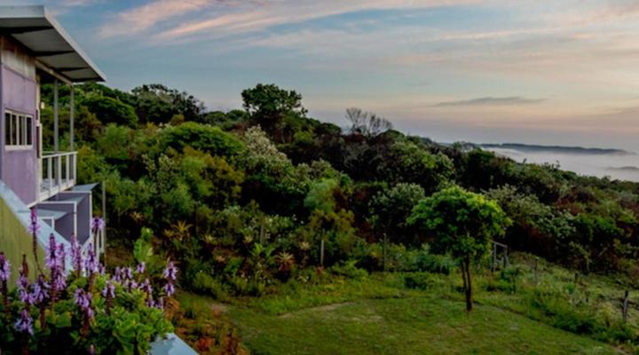 Purple Haze Eco Lodge