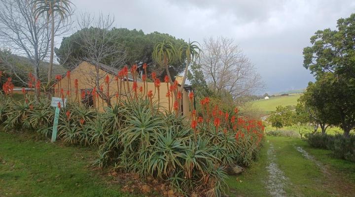 Swaynekloof Farm