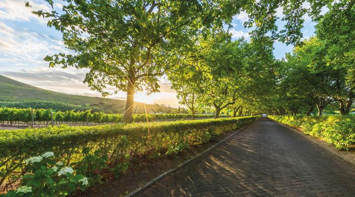 Lanzerac Stellenbosch