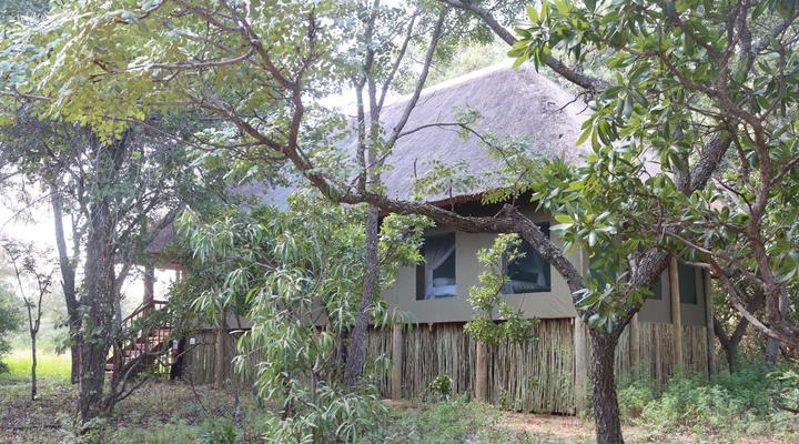 Honeyguide Ranger Camp