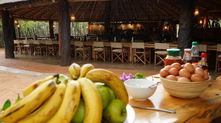 Honeyguide Ranger Camp