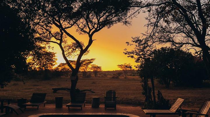 Honeyguide Ranger Camp