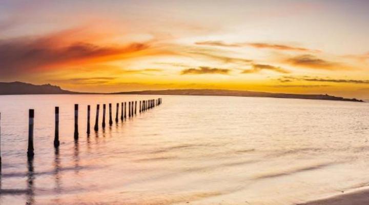 Namaste & Wanderlust Apartments