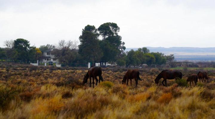Dellville Country House & Cottages