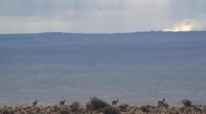 Dellville Country House & Cottages