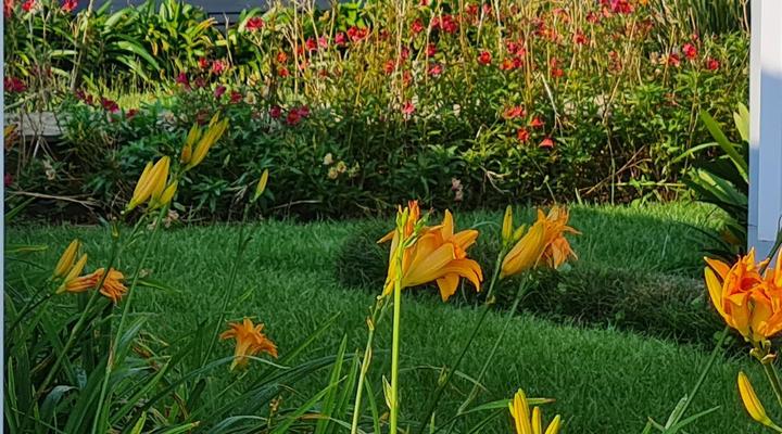 Mosswood Bed & Breakfast