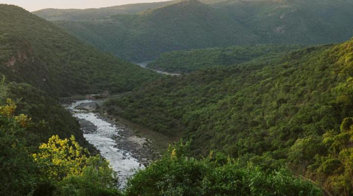Matatane Camp - Babanango Game Reserve