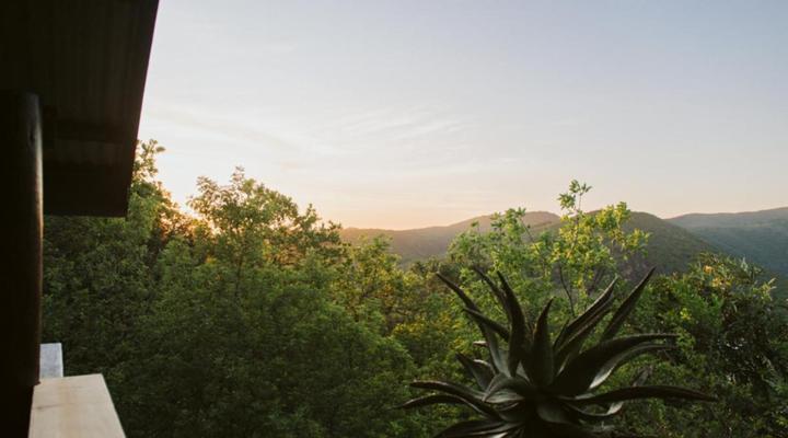 Matatane Camp - Babanango Game Reserve