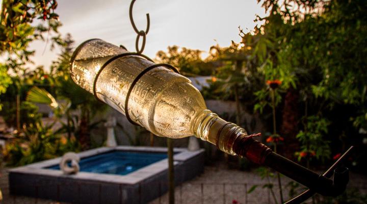 Ebonymoon Guest House & Studio