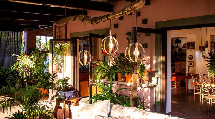 Ebonymoon Guest House & Studio