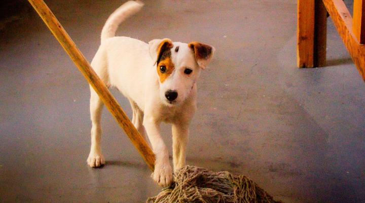 Ebonymoon Guest House & Studio