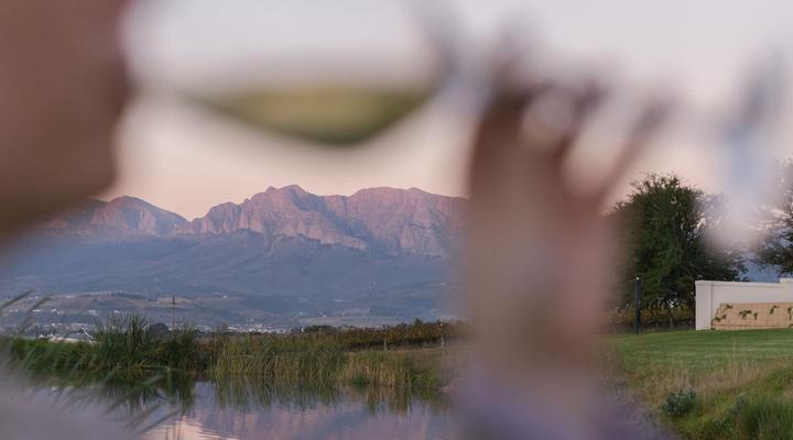 Under Oaks - The Vineyard Suites