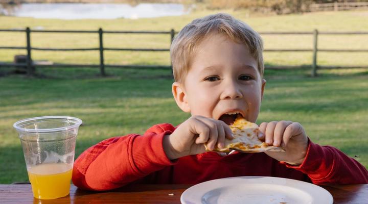 Under Oaks - The Vineyard Suites