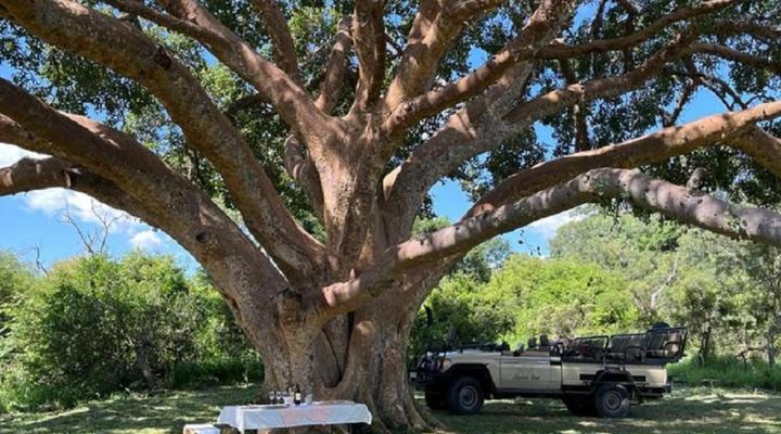 Leopard’s Bend Bush Lodge