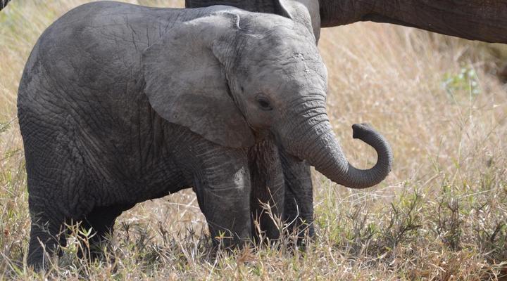 Leopard’s Bend Bush Lodge