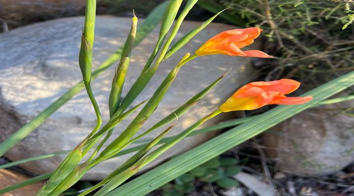 Welbedacht Game & Nature Reserve