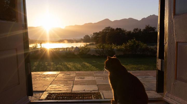 Under Oaks - The Vineyard Suites