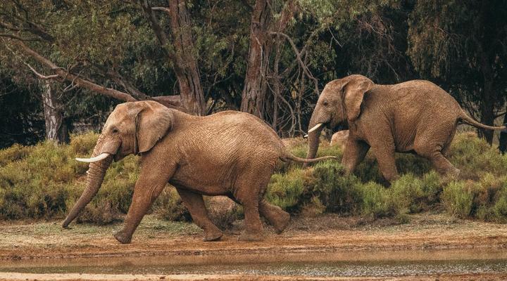 Aquila Private Game Reserve