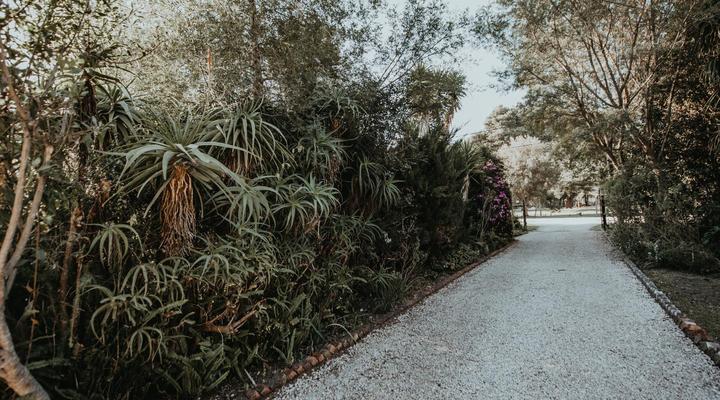 Storms River Forest Lodge