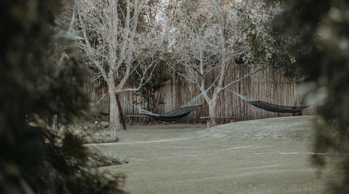Storms River Forest Lodge