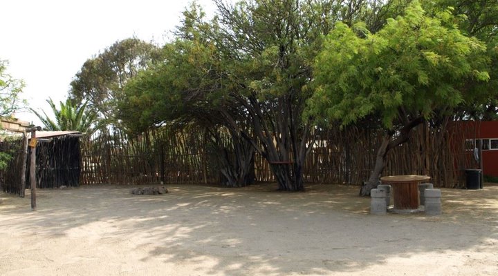 Sophia Dale Base Camp