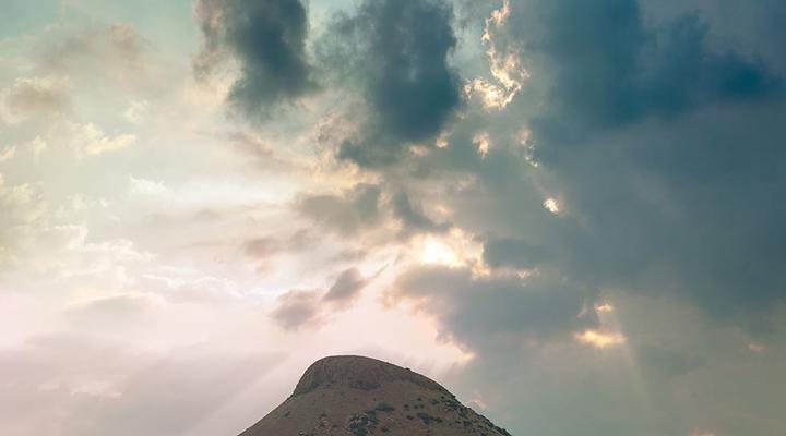 LIONSROCK Big Cat Sanctuary