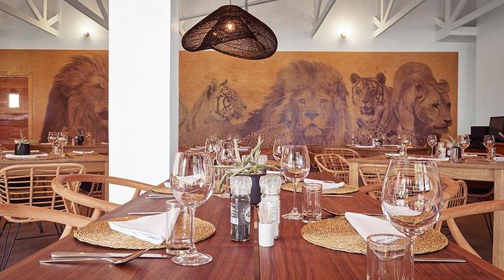 LIONSROCK Big Cat Sanctuary