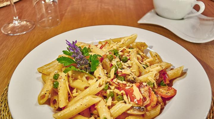 LIONSROCK Big Cat Sanctuary