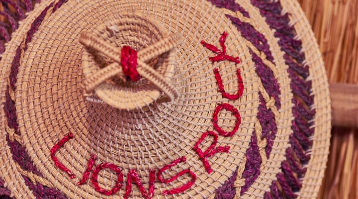 LIONSROCK Big Cat Sanctuary