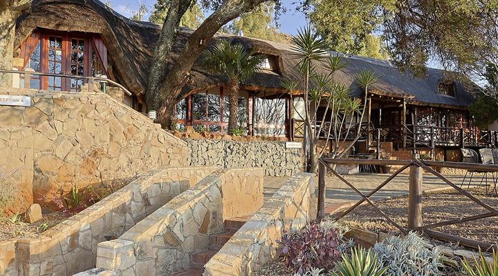 LIONSROCK Big Cat Sanctuary