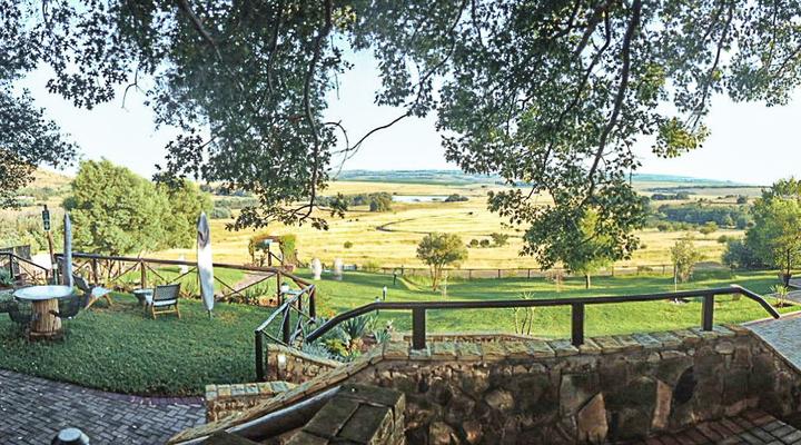 LIONSROCK Big Cat Sanctuary