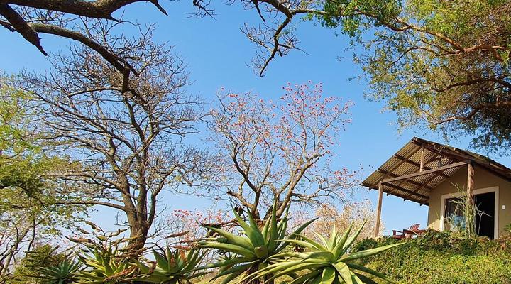 Wide Horizons Mountain Retreat