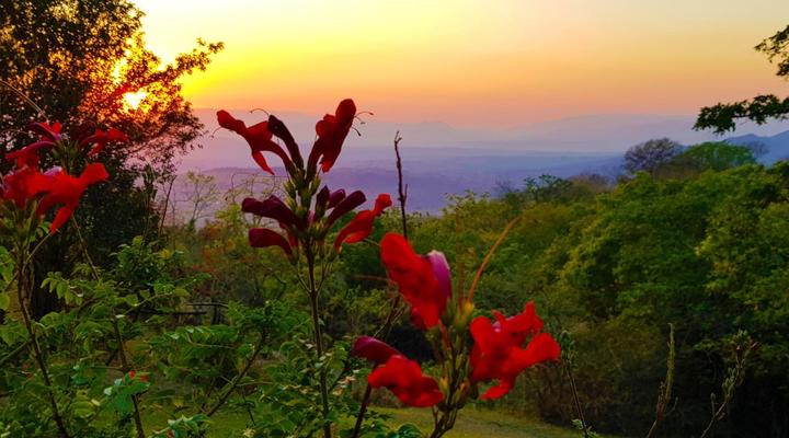 Wide Horizons Mountain Retreat