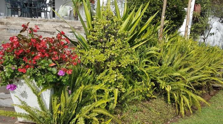 Green Park Manor Guest House