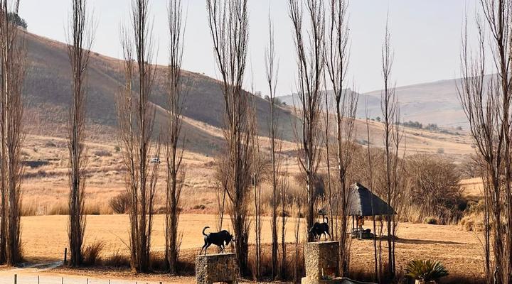 Doornkop 10a Inyati House