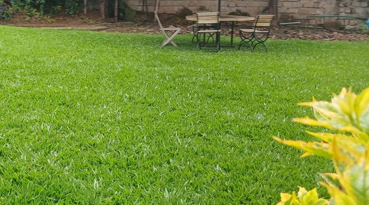 Clemsa Boutique Hotel