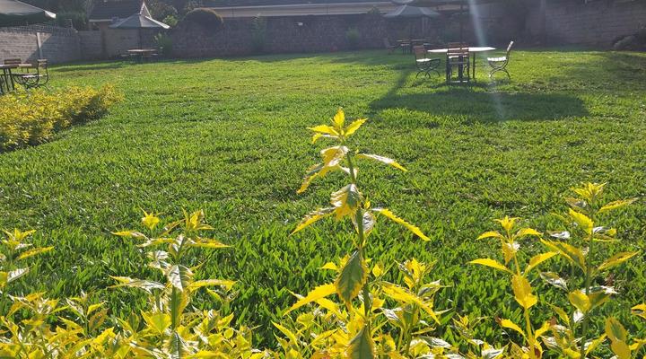 Clemsa Boutique Hotel