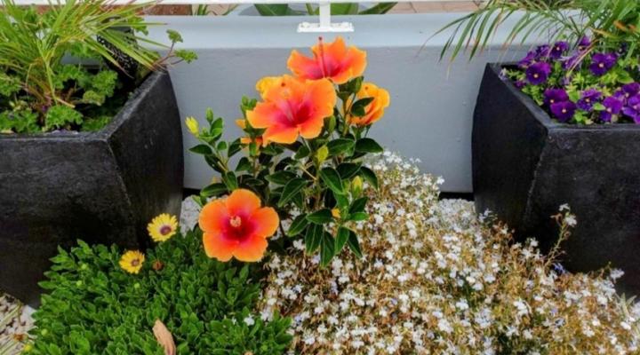 The Sandcastle Bed and Breakfast