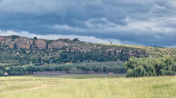LIONSROCK Big Cat Sanctuary