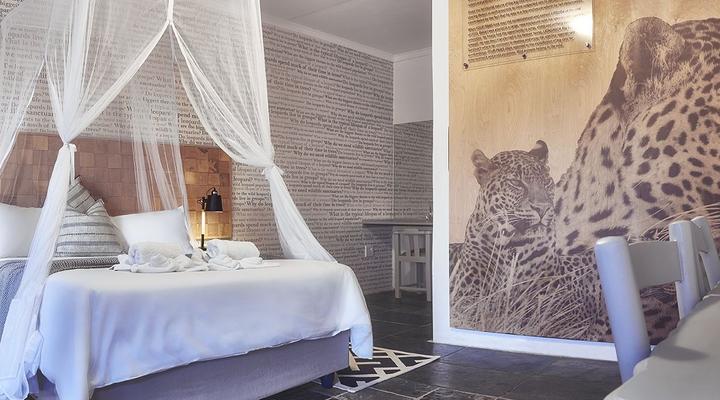 LIONSROCK Big Cat Sanctuary