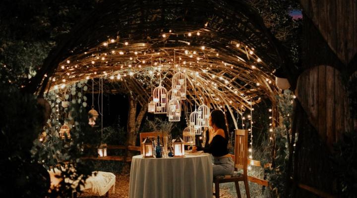 Treedom Villas and Vardos