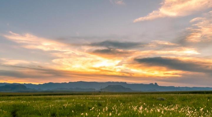 Amphitheatre Backpackers Lodge