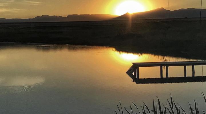 Amphitheatre Backpackers Lodge