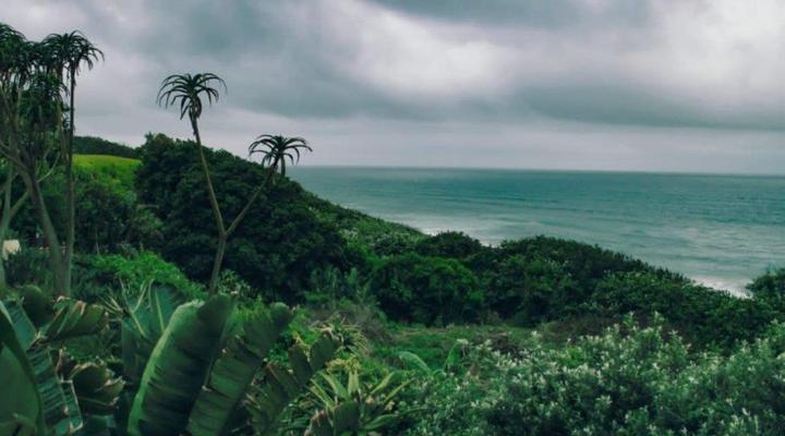 Noah's Accommodation