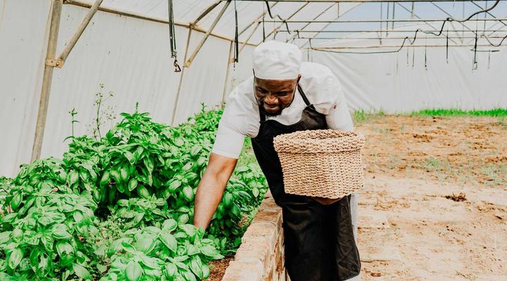 Bongela Private Game Lodge